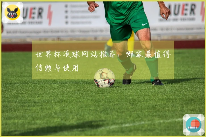 世界杯滚球网站推荐，哪家最值得信赖与使用
