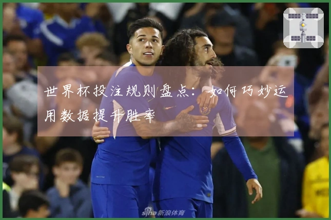 世界杯投注规则盘点：如何巧妙运用数据提升胜率