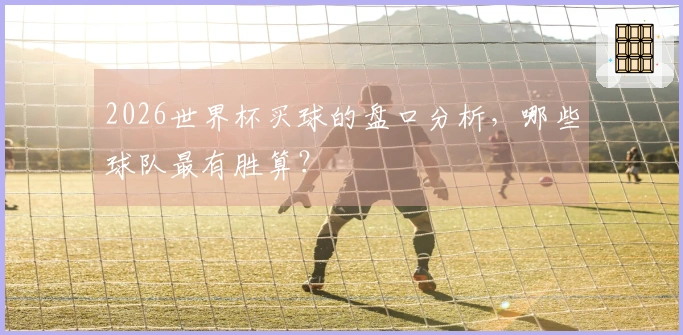 2026世界杯买球的盘口分析，哪些球队最有胜算？