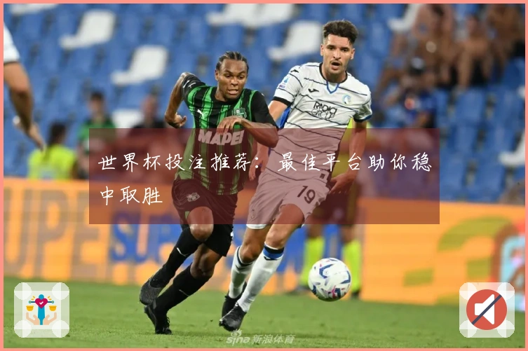 世界杯投注推荐：最佳平台助你稳中取胜