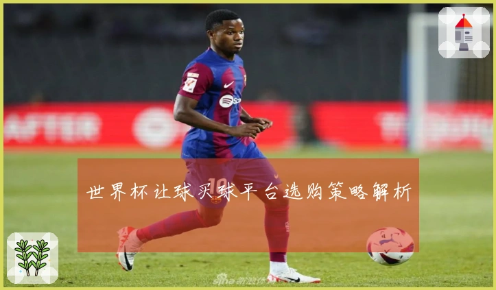 世界杯让球买球平台选购策略解析