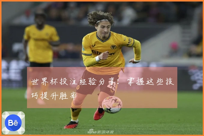 世界杯投注经验分享：掌握这些技巧提升胜率