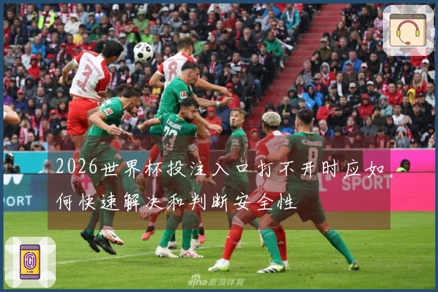 2026世界杯投注入口打不开时应如何快速解决和判断安全性
