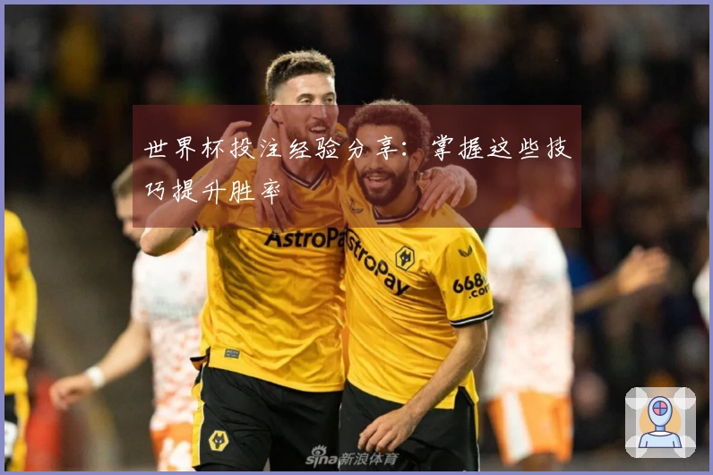 世界杯投注经验分享：掌握这些技巧提升胜率