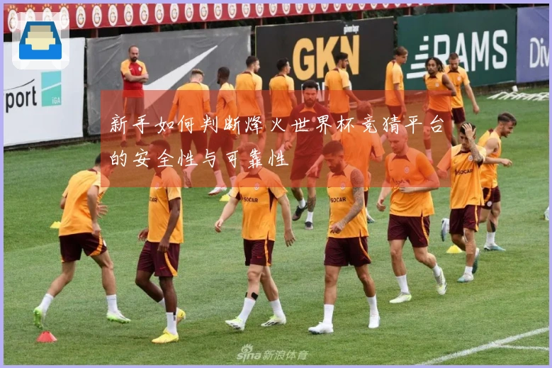 新手如何判断烽火世界杯竞猜平台的安全性与可靠性