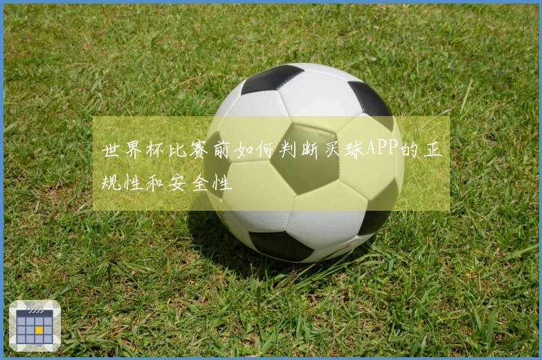世界杯比赛前如何判断买球APP的正规性和安全性