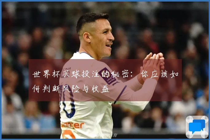 世界杯买球投注的秘密：你应该如何判断风险与收益