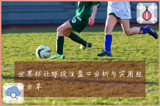 世界杯让球投注盘口分析与实用经验分享