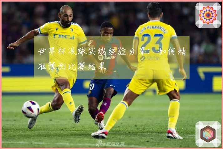 世界杯滚球实战经验分享:如何精准预测比赛结果