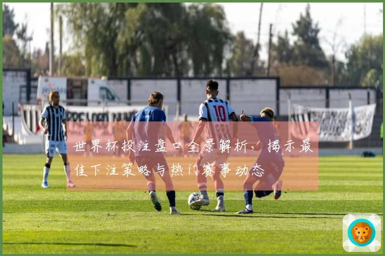 世界杯投注盘口全景解析，揭示最佳下注策略与热门赛事动态