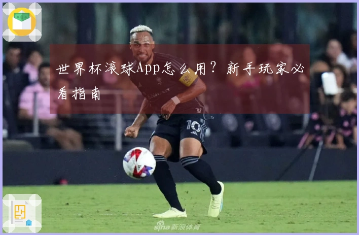世界杯滚球App怎么用?新手玩家必看指南