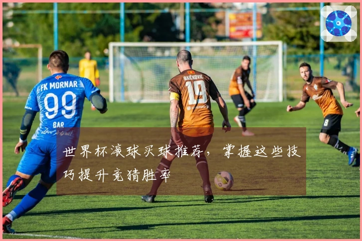 世界杯滚球买球推荐，掌握这些技巧提升竞猜胜率