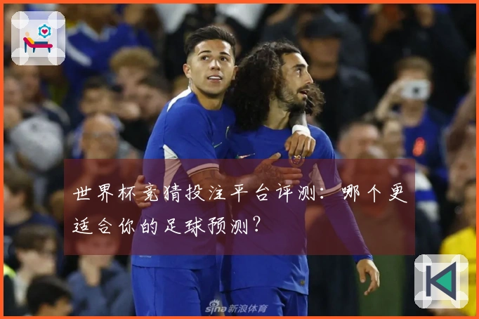 世界杯竞猜投注平台评测：哪个更适合你的足球预测？